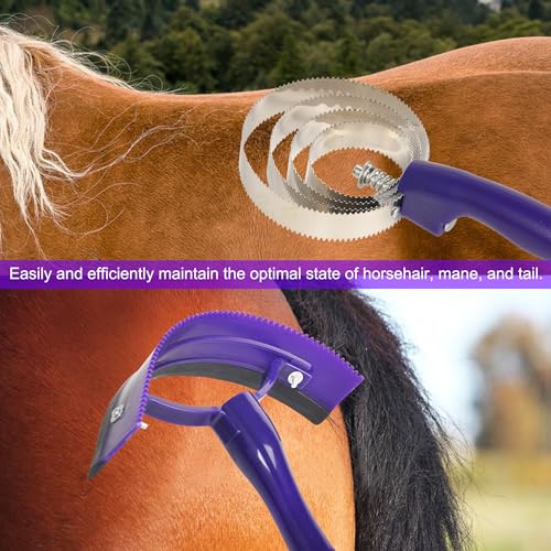Horse Grooming Kit