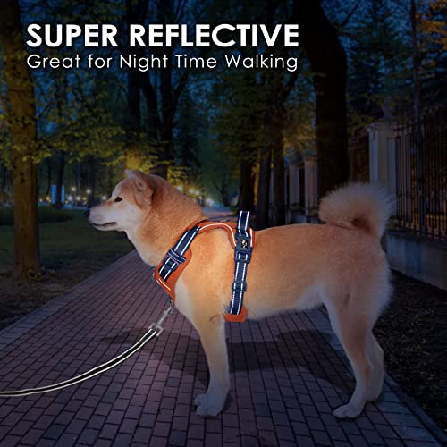 No Pull Dog Harness (Orange Base & Blue Straps / Extra Large)