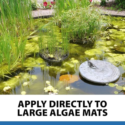 AlgaeOff String Algae Killer for Pond & Water Garden (8 Pounds)