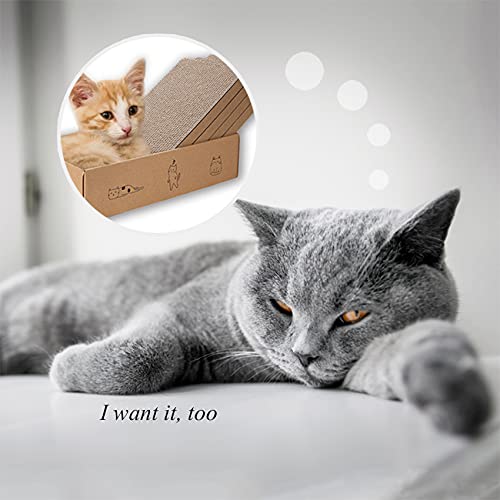 4 Packs in 1 Cat Scratch Pad with Box (4 PCS)
