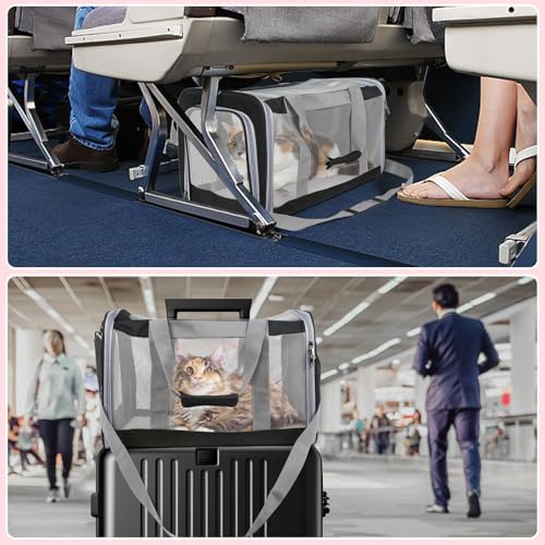 Pet Carrier for Large Cats of 20 Lbs (Black)