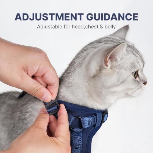 Cat Harness Leash Set with AirTag Holder (Blue for Airtag / M)