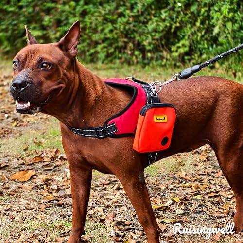 Dog Treat Pouch for Pet Walking and Training with Clicker Poop Bags Small Fanny Zipper Pack Holder for Puppy Snack Dispenser Kit for Leash and Outdoor Use (One Bag / a3.Orange)