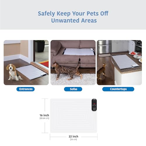 Pet Training Mat (22" x 16" / Black Controller)