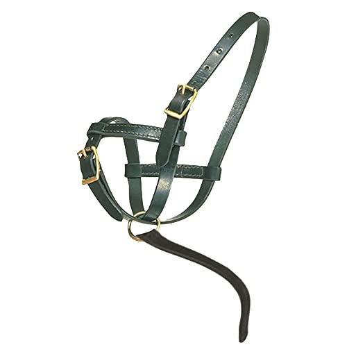 Premier Leather Foal Halter for Horses