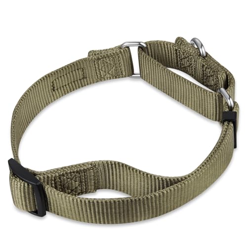 Martingale Collar for Dogs Small Green (Small / Military Green)
