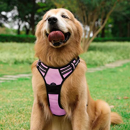 Dog Harness No Pull for Large Dogs with 2 Leash Clips (Large / Pink)