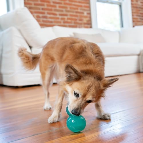 Double Tuff Stuffable Dog Toy (Medium)