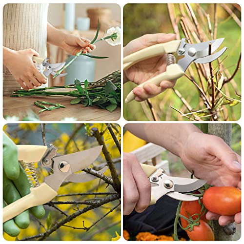 Premium garden shears