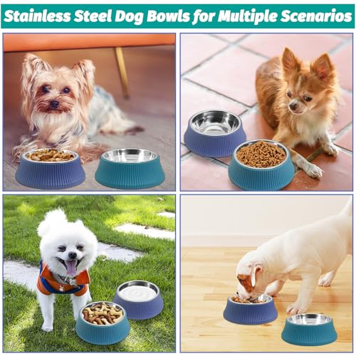 2PCS Stainless Steel Dog Bowls Set Removable no tip Puppy Food and Water Feeder Bowl Basic Metal Small Dog Bowls for Dogs Cats Rabbit Guinea Pigs Ferret (2 PCS / Roman Column (Blue, Green))