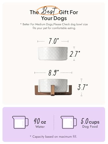 Ceramic Dog Bowls for Large Dogs (Fireworks / L-5 Cup)