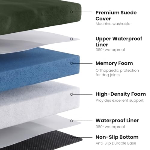Orthopedic Dog Bed (34.0"L x 22.0"W x 5.5"Th / Dark Green)