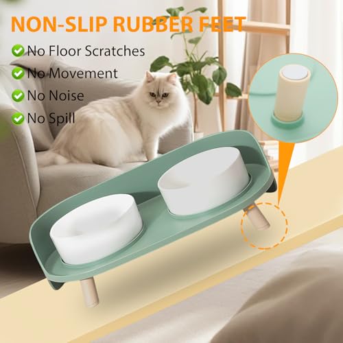Elevated Dog Bowls Set (Green)