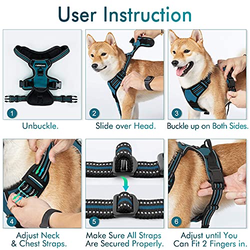 Dog Harness No Pull with 2 Leash Clips (X-Large / Blue Coral)