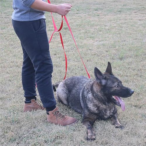 Dog Puppy Obedience Recall Training Agility Lead (Pink / 20 Feet)