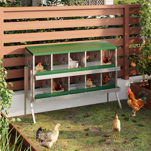 10 Hole Chicken Nesting Box with Roll Out Egg Tray