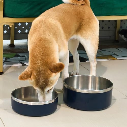 Stainless Steel Dog Bowls (Medium / Dark blue)
