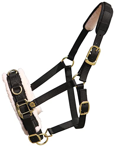 Lunge Cavesson with Fleece Lined Nose Band and Crown (Black / Cob)
