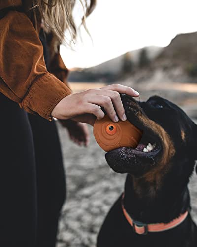 Giggle Ball for Dogs Owl Toys for Aggressive Chewers Dog Ball Toy for Puppy Medium Large Dogs Fun Gift for Dog Natural Rubber Hoot Brown (Brown Owl Orange Eyes)