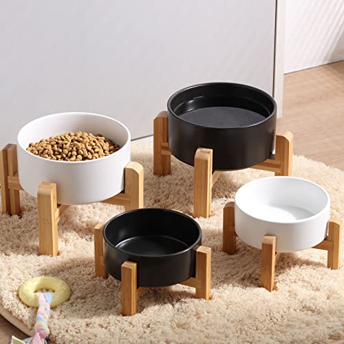 Black Elevated (Black / 1.7 Cups - Small)