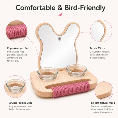 Bird Mirror with Perch and Feeder (5.9 inch)