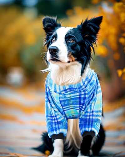 4 Pack Boy Fleece Dog Pajamas Warm for Small Dogs (Small)