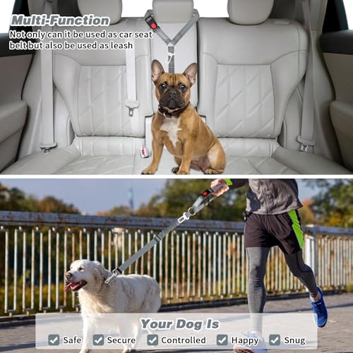 Dog Seat Belt for Car (Grey)