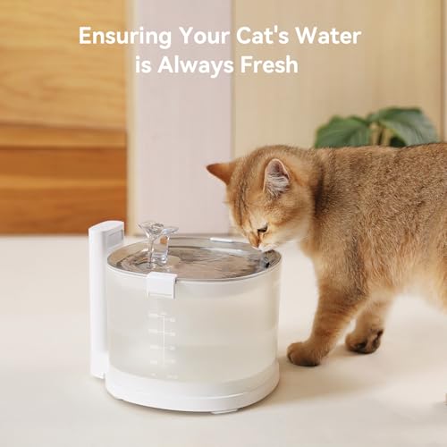 Pumpless Pet Water Elfin Fountain E1 (White / Cordless | 4 Filters)