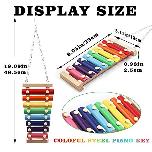 Colorful Bird Xylophone Toy (Hanging Mount / 8 Keys)