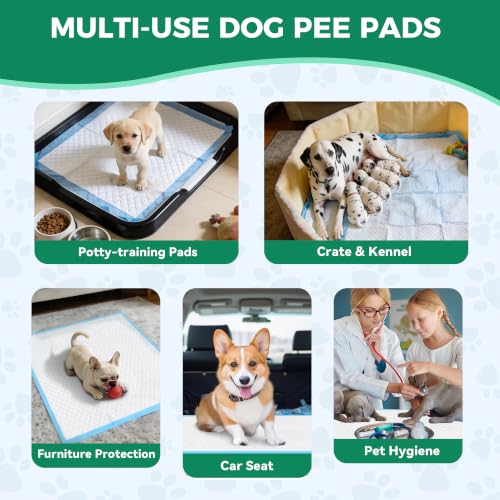 Large Puppy Pads 30"x26" 100 Count (30"x26"-100 Count)