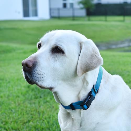 Biothane Waterproof Dog Collar with Quick Release Buckle Strong Coated Nylon Webbing with Odor (1"W by 15-25"L / Cerulean Blue)