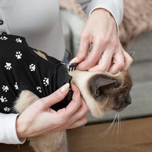 Cat Recovery Suit Female After Spay (Black / Medium)