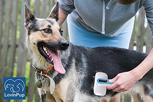 Pet Slicker Brush (Slicker Brush (Blue/White))