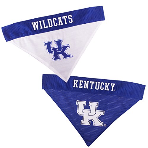 Collegiate Pet Accessories (Small/Medium / Kentucky Wildcats)