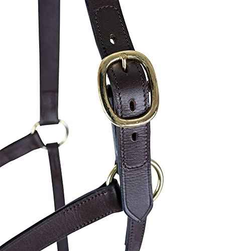 Premier Lancaster Fixed Throat Leather Halter for Horses (Full Size / Havana)