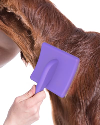 Large Dog Brush (L / Purple)
