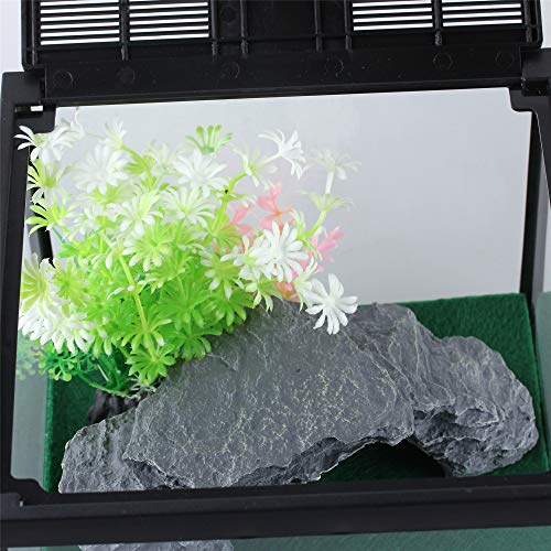 Glass Lizard Tank (L7.8 x W7.8 x H5.9 inches / Black)