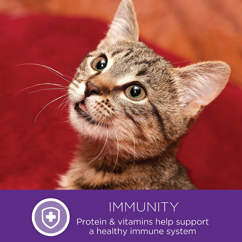 Healthy Indulgence Gravies Adult Wet Cat Food (6 Ounce (Pack of 12))