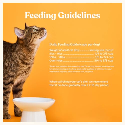 Dry Cat Kibble 11lb Bag (11 Pound (Pack of 1))