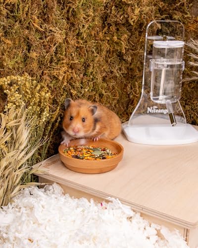 Nature Golden Hamster Food (200g / 7.05 oz)