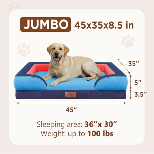 Orthopedic Dog Bed for Extra Large Dogs with Bolster (45.0"L x 35.0"W x 8.5"Th / Philadelphia)