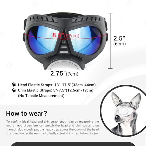 Small Dog Goggles Windproof for Small (Blue Lenses / Medium)