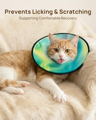 Soft Cat Cone Collar (Aurora Green / S)