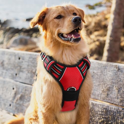 Dog Harness for Large (Red / X-Large)