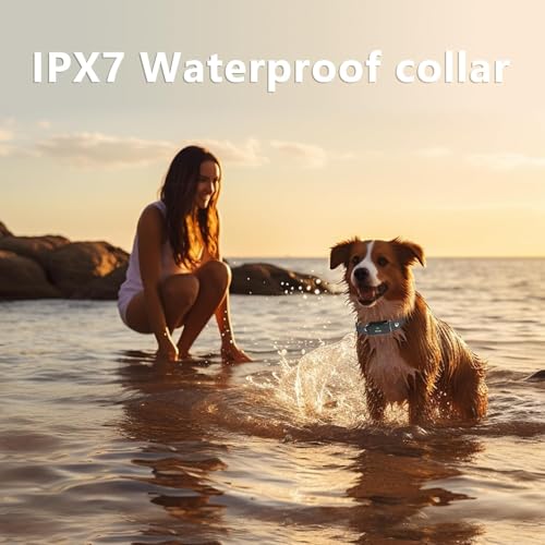 Wireless Dog Fence (X3 black for 2 dogs)