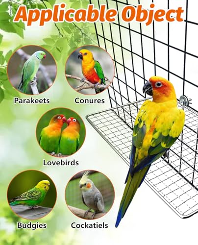 2 Pack Bird Perch Platform Stainless Steel Birds Perches Parrot Shelf Training Stand Small Animals Cage Accessories for Parakeets