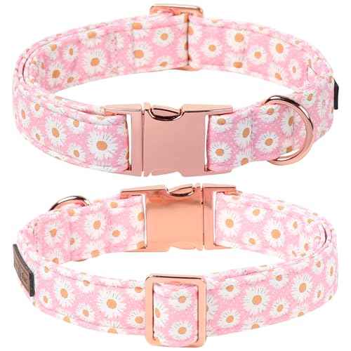 Floral Dog Collar with Sailor Bow (Pink Daisy(Sailor Bow) / X-Small (Pack of 1))