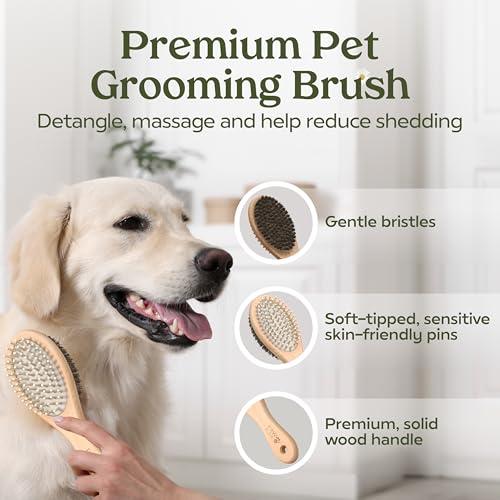 Pawfume Dog Gift Basket (6.67 Fl Oz (Pack of 6))