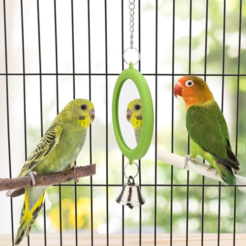 Bird Mirror Toy with Bell Interactive Parrot Hanging Mirror (GREEN)