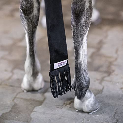 Tail Bag with Fringe (Black)